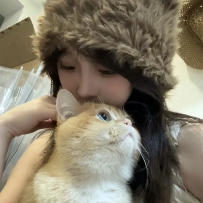 穷途鼠的奶酪梦